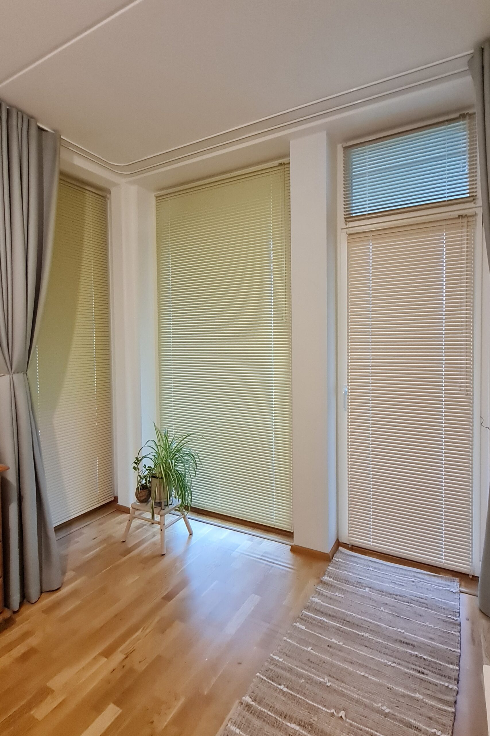 ribakardinad-suur-aken-rooduks-lahendus